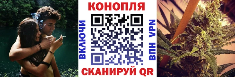 Сколько стоит Завитинск Alpha PVP Бошки Шишки Меф мяу мяу ГАШ
