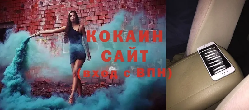 Cocaine Fish Scale  купить наркоту  Завитинск 