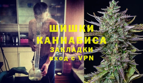 кокс Гусев