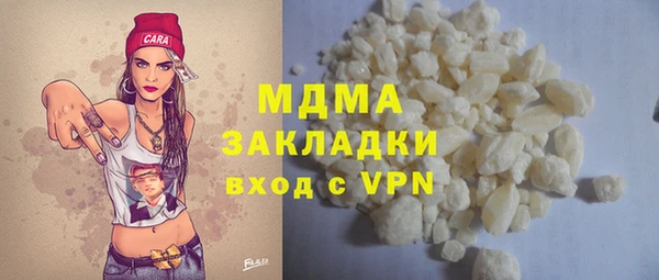 шишки Горняк