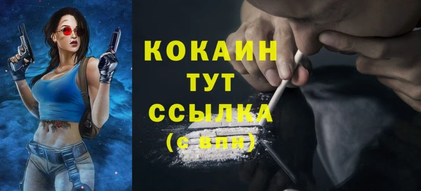 шишки Горняк