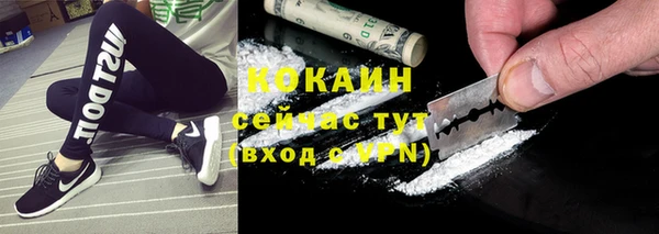прущие грибы Горно-Алтайск