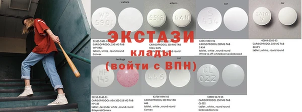 шишки Горняк