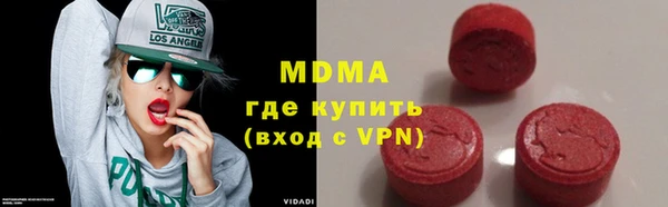 шишки Горняк