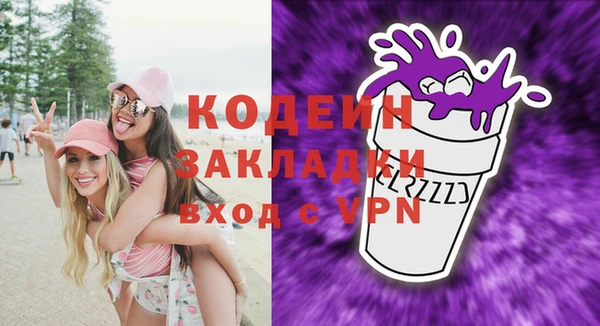 прущие грибы Горно-Алтайск