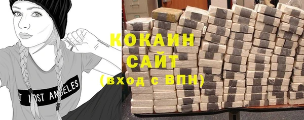 шишки Горняк