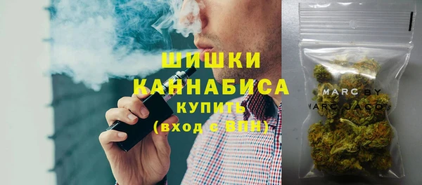 apvp Гусь-Хрустальный