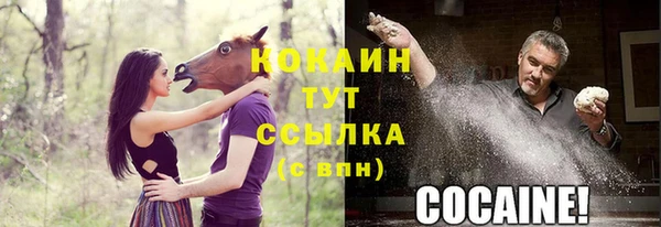 спайс Магас