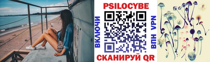 mega вход  Завитинск  Псилоцибиновые грибы Psilocybine cubensis 